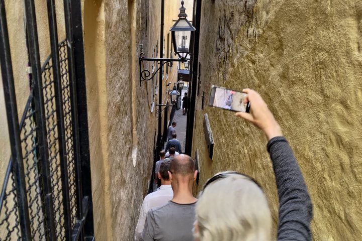 a person holding a phone